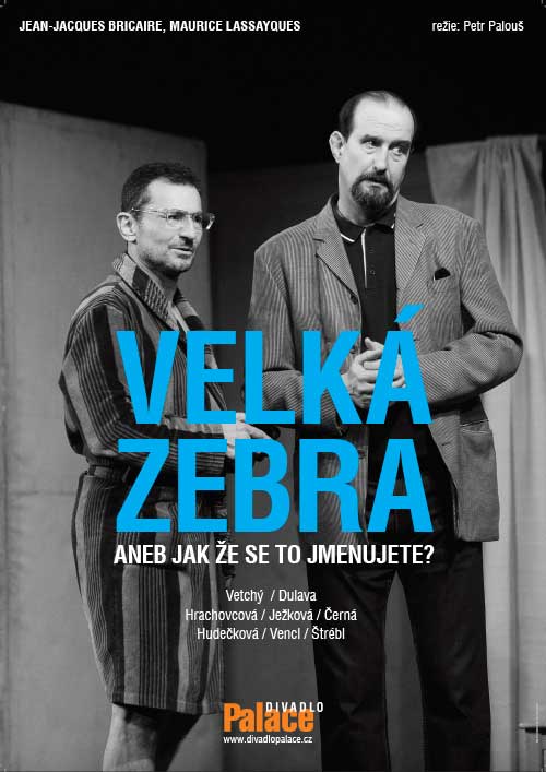 Velká zebra aneb Jak že se to jmenujete?, plakát